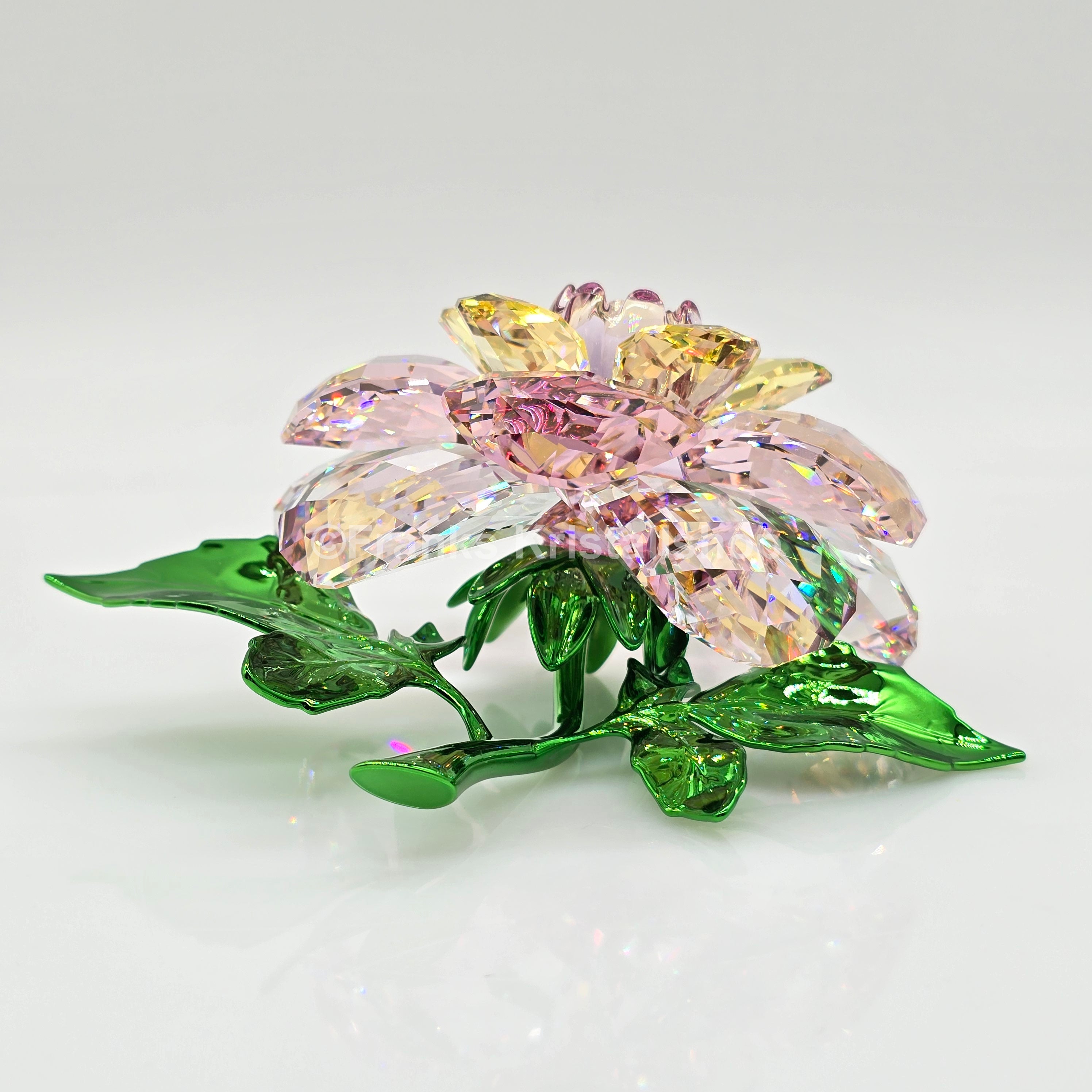 SWAROVSKI Blume Florere Kamelie Blumenträume 5721538
