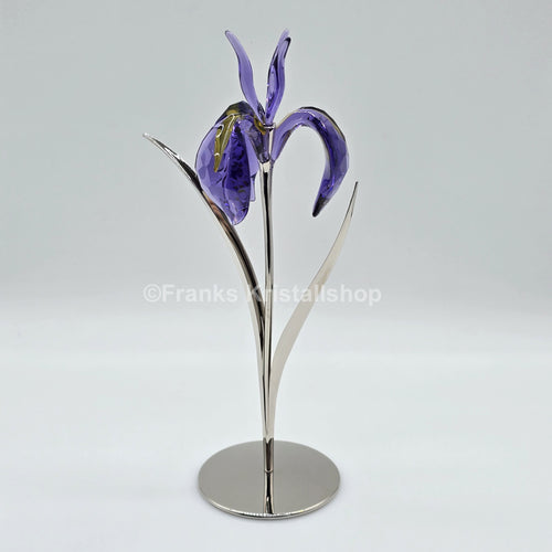 SWAROVSKI Crystal Paradise Blume Damboa Blumenträume 848449