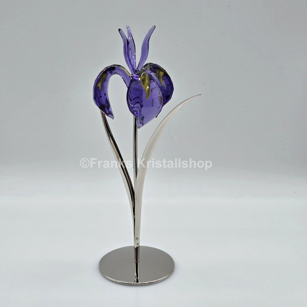 SWAROVSKI Crystal Paradise Blume Damboa Blumenträume 848449