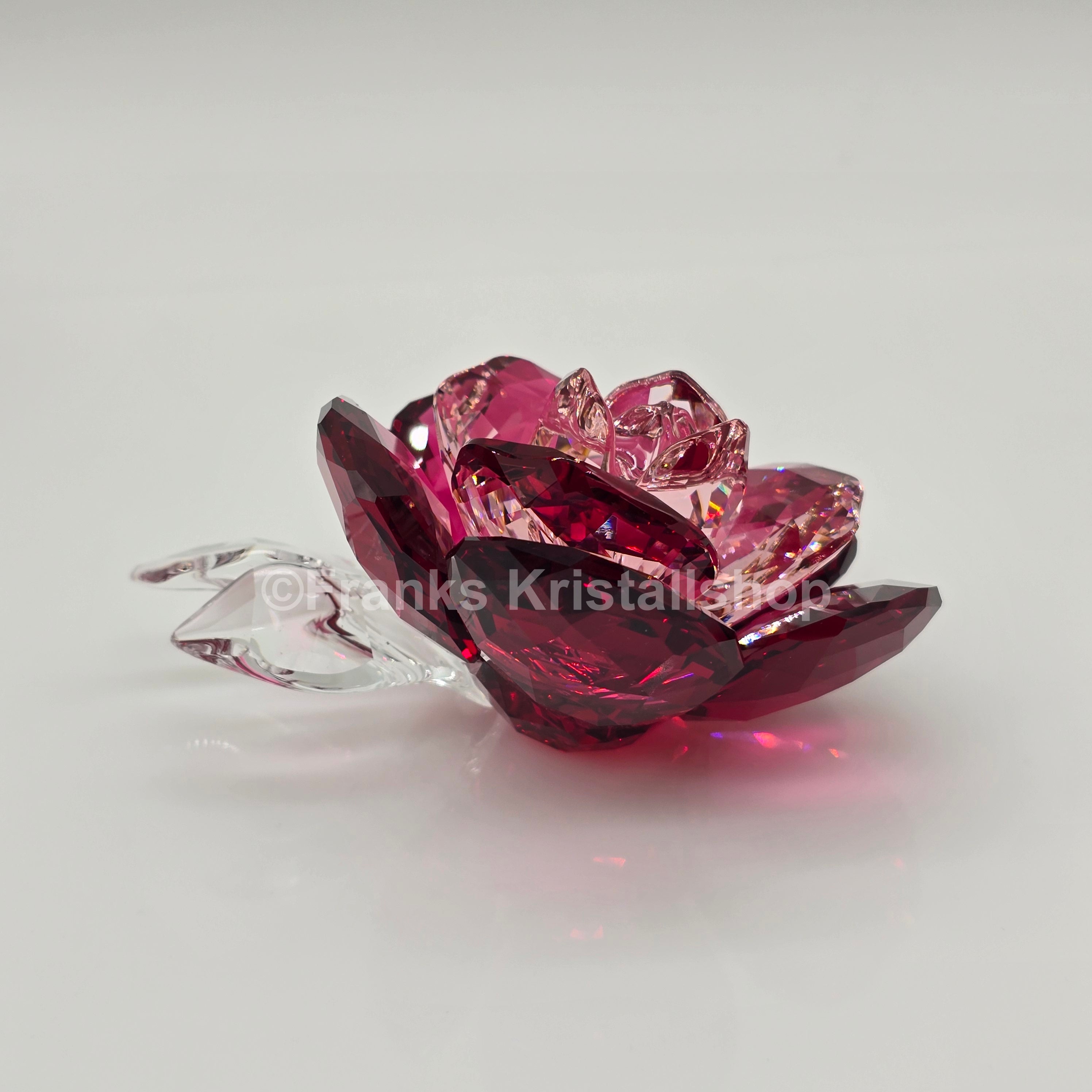 SWAROVSKI Blumenträume Crystal Flowers Pfingstrose 5688516