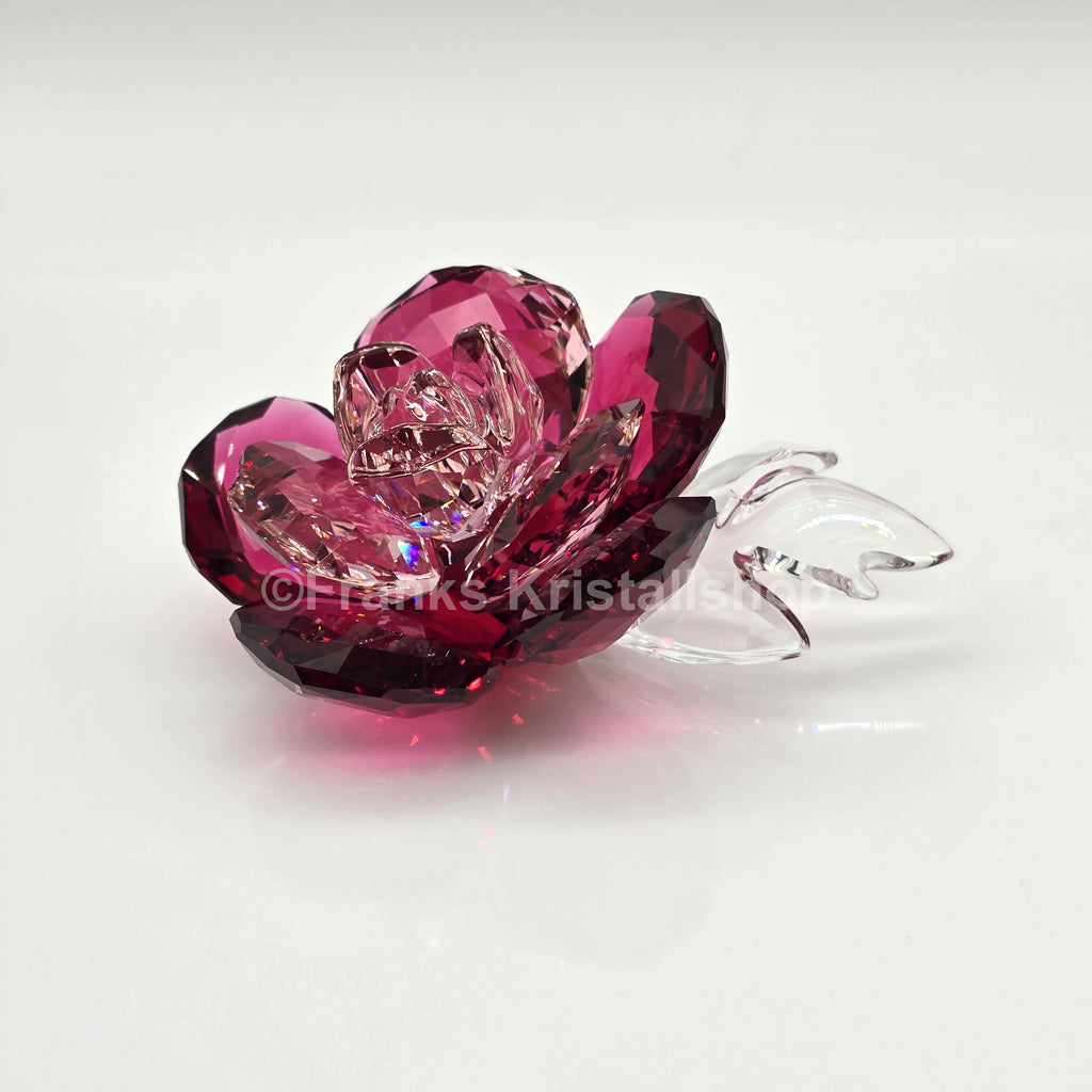 SWAROVSKI Blumenträume Crystal Flowers Pfingstrose 5688516