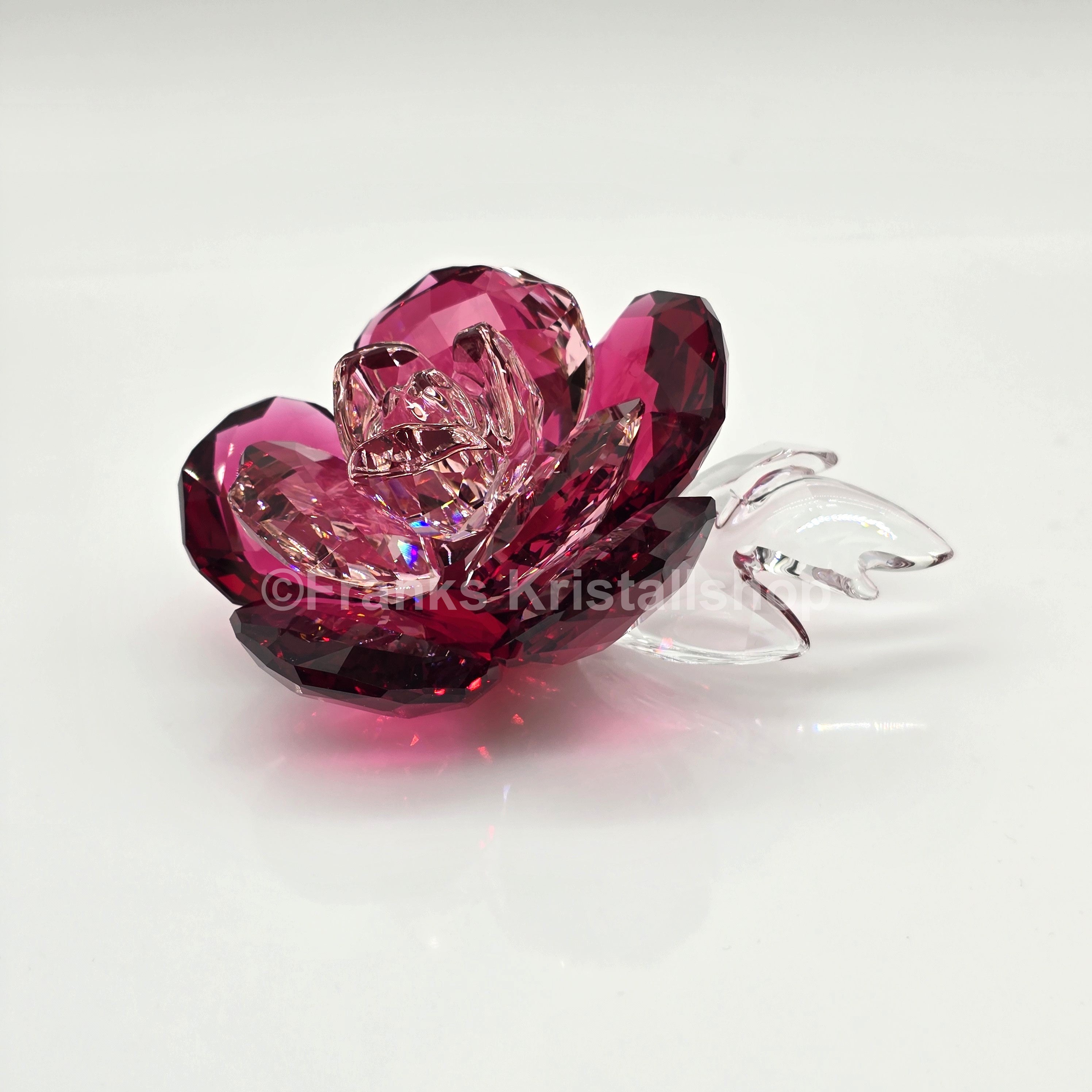 SWAROVSKI Blumenträume Crystal Flowers Pfingstrose 5688516