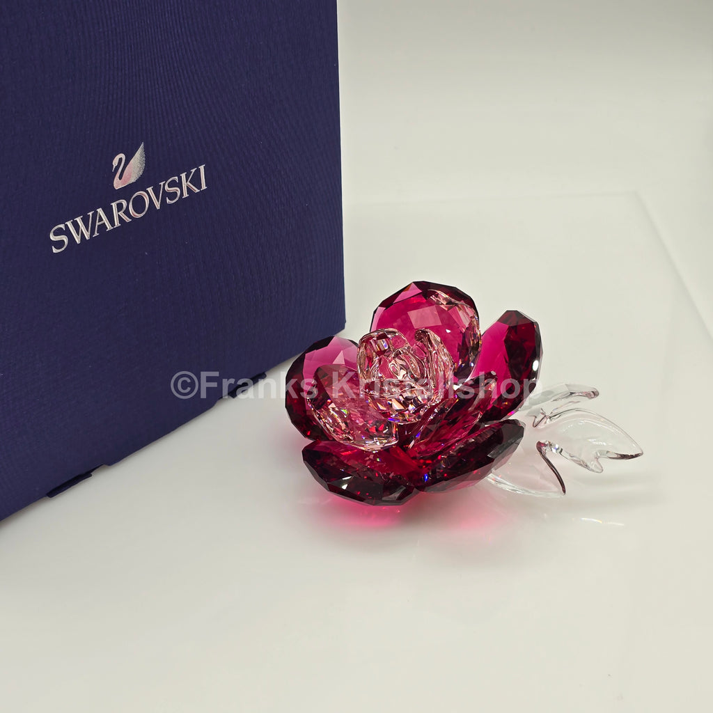 SWAROVSKI Blumenträume Crystal Flowers Pfingstrose 5688516