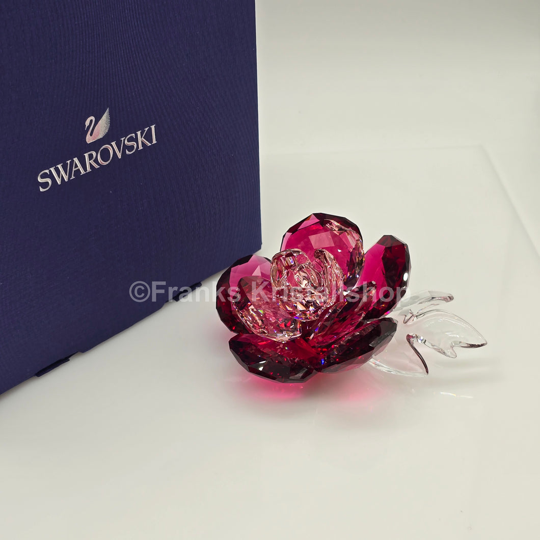 SWAROVSKI Blumenträume Crystal Flowers Pfingstrose 5688516