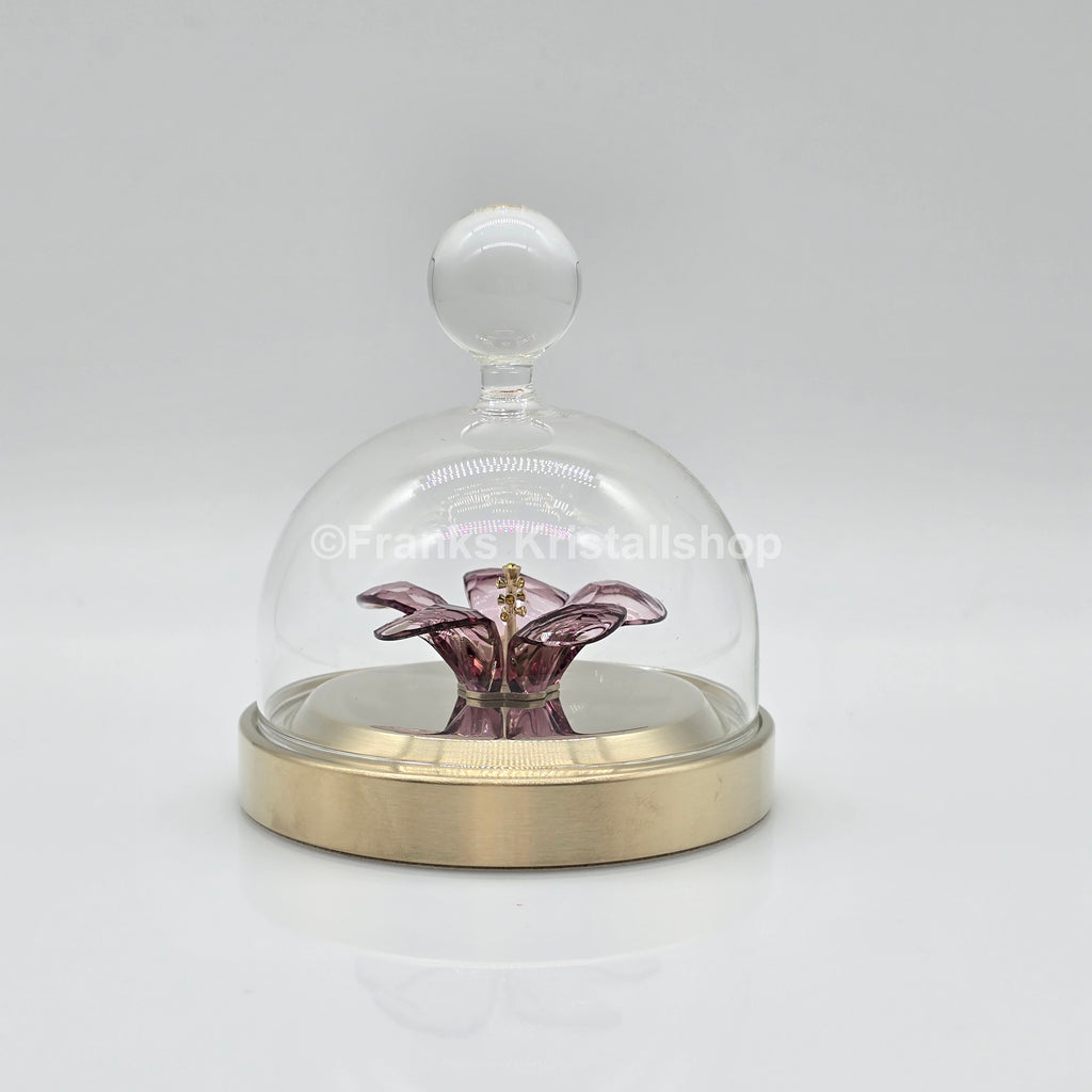 SWAROVSKI Blumenträume Garden Tales Hibiskus Glasglocke 5619224