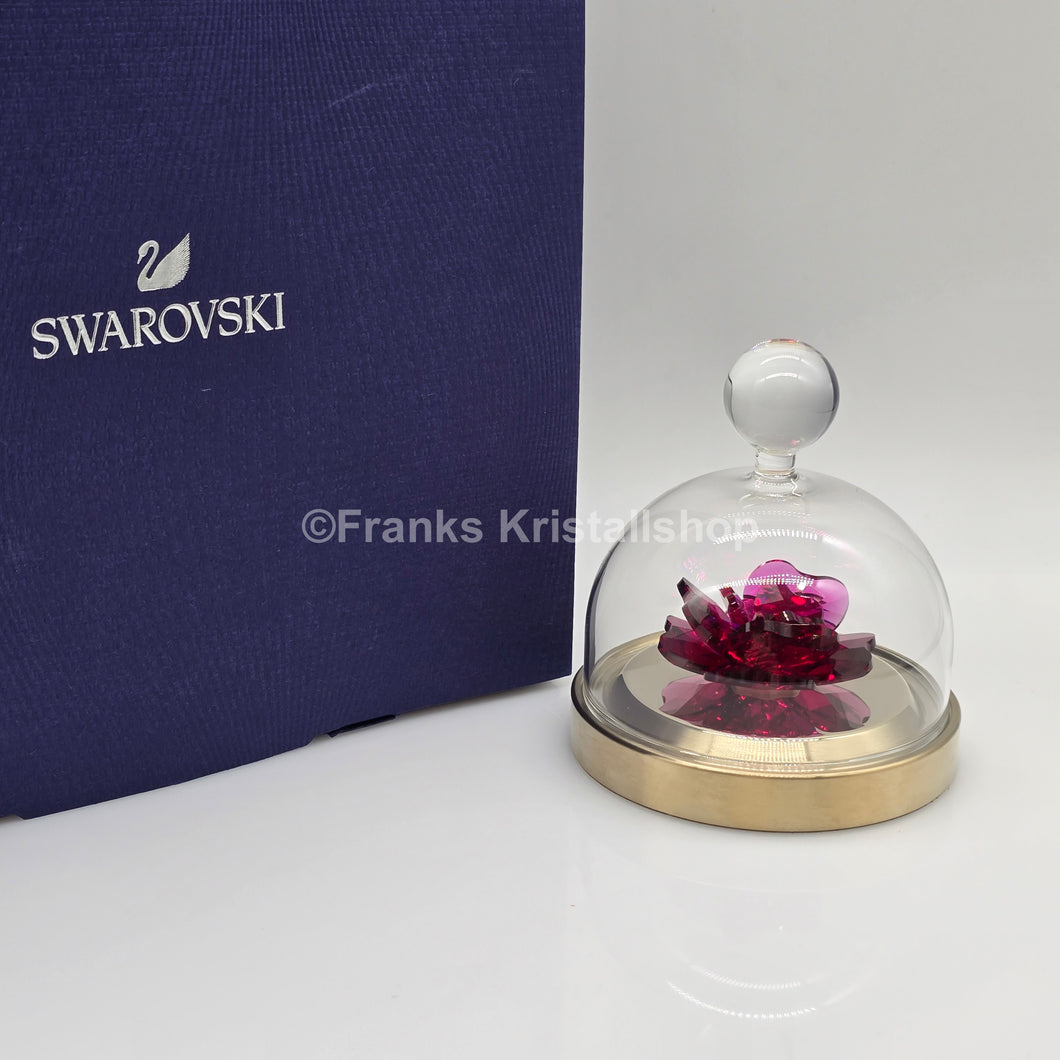 SWAROVSKI Blumenträume Garden Tales Rote Rose Glasglocke 5619223