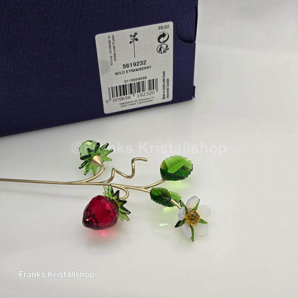 SWAROVSKI Blumenträume Garden Tales Wilde Erdbeere 5619232