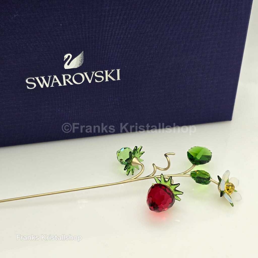 SWAROVSKI Blumenträume Garden Tales Wilde Erdbeere 5619232