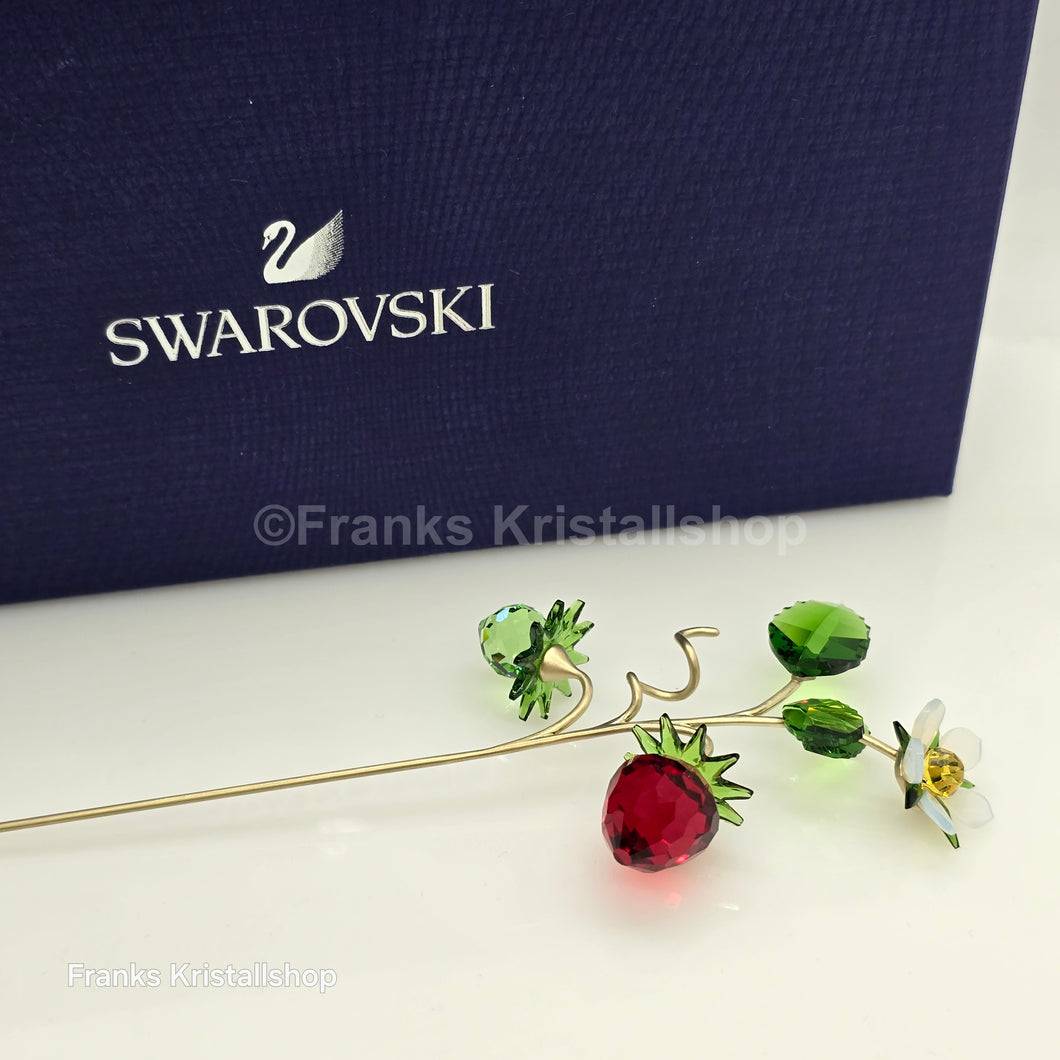 SWAROVSKI Blumenträume Garden Tales Wilde Erdbeere 5619232