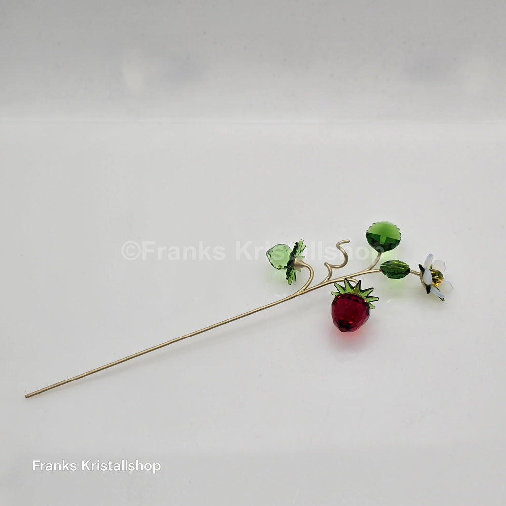 SWAROVSKI Blumenträume Garden Tales Wilde Erdbeere 5619232