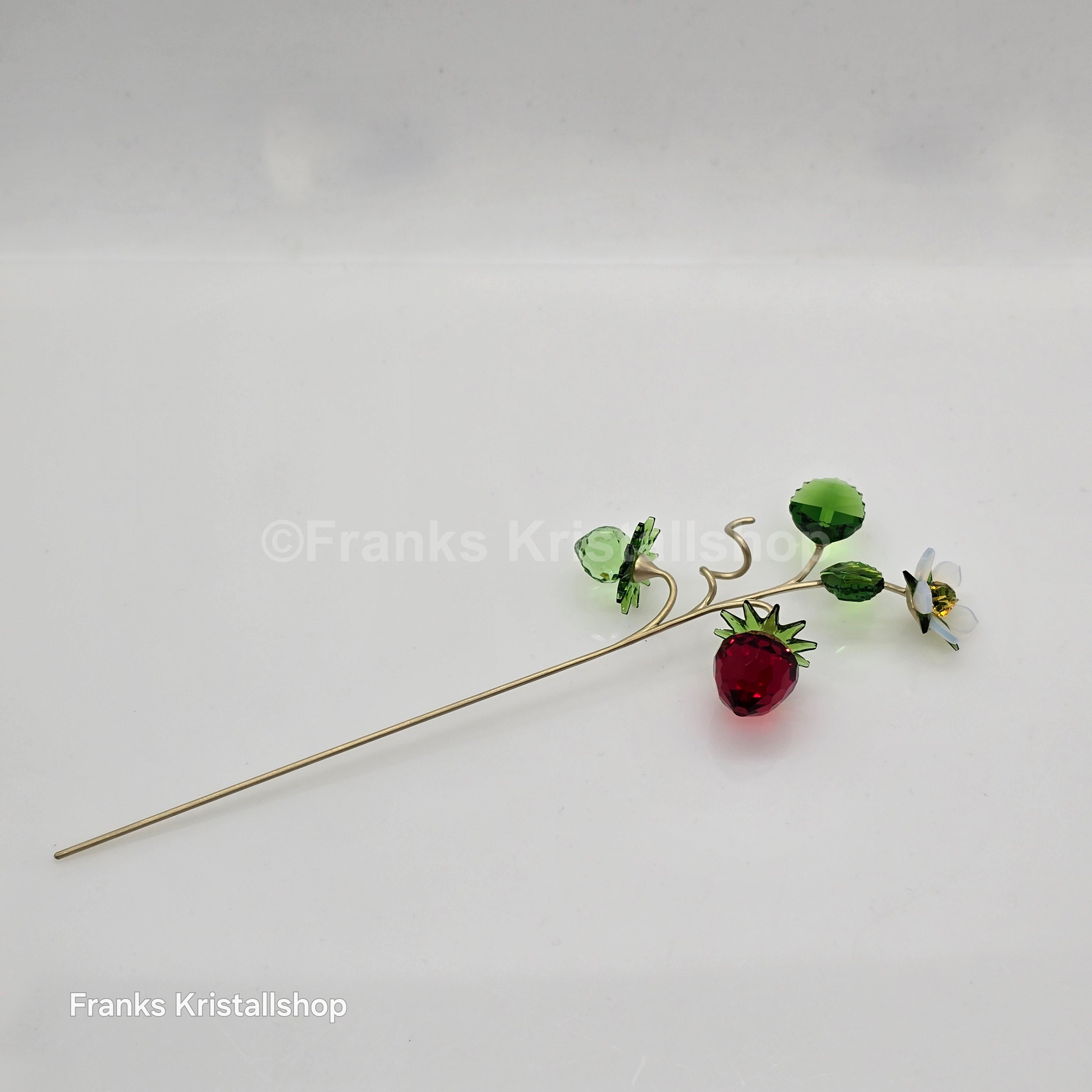 SWAROVSKI Blumenträume Garden Tales Wilde Erdbeere 5619232