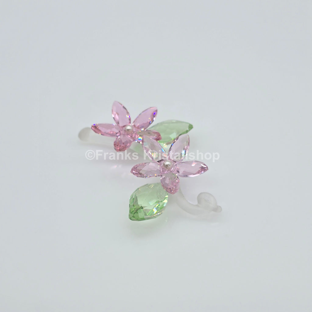 SWAROVSKI Blumenträume Jasminblüte Groß 917664