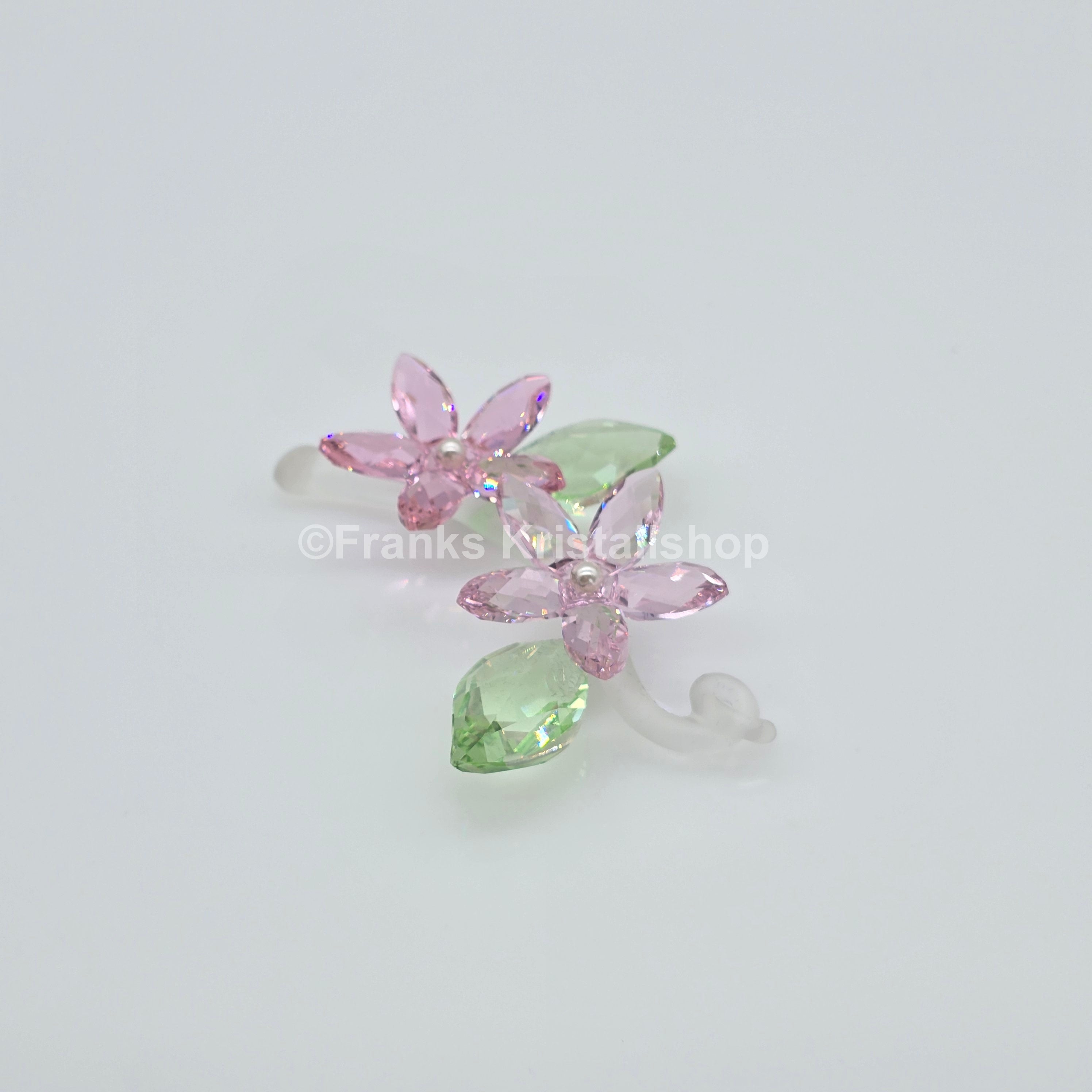 SWAROVSKI Blumenträume Jasminblüte Groß 917664