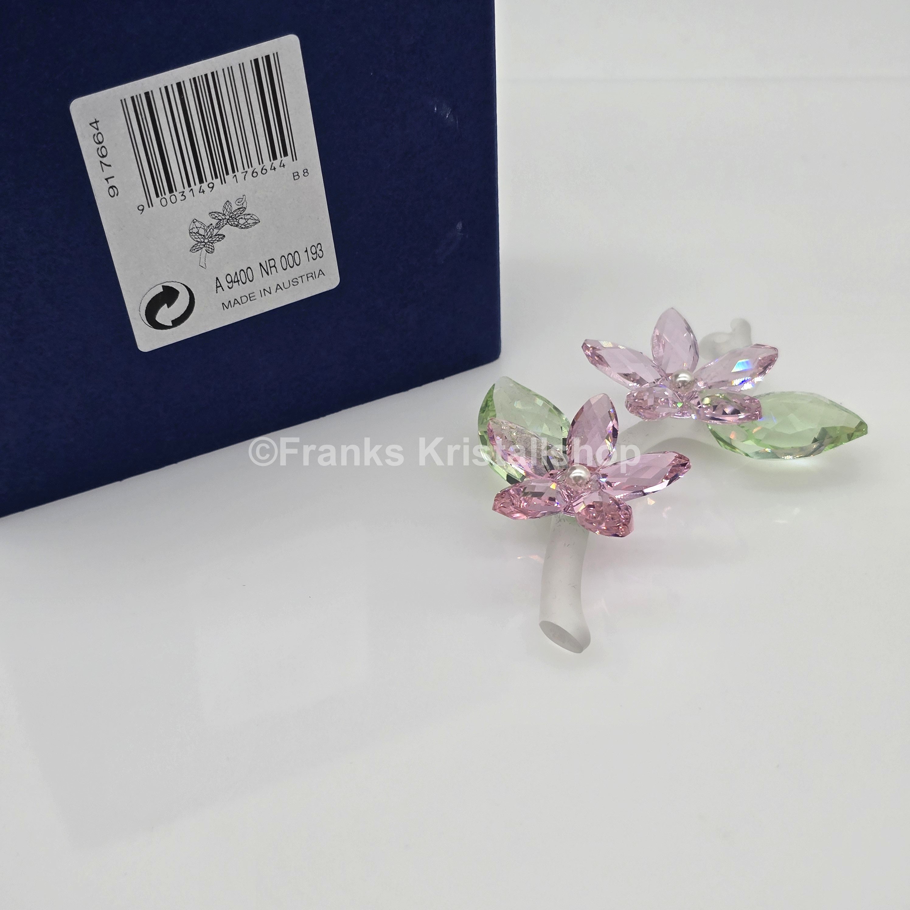 SWAROVSKI Blumenträume Jasminblüte Groß 917664
