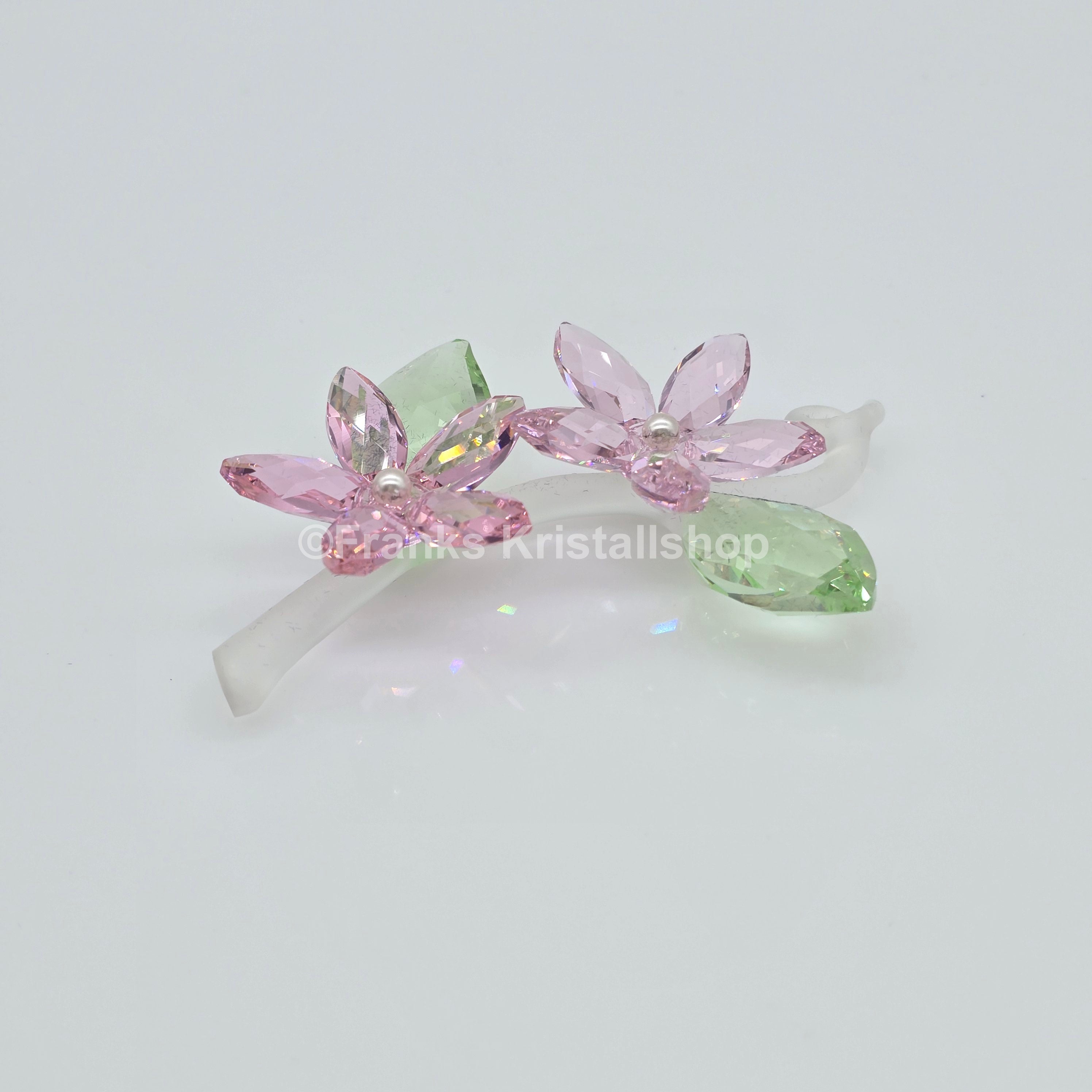 SWAROVSKI Blumenträume Jasminblüte Groß 917664