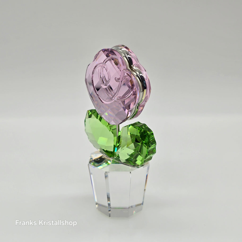 SWAROVSKI Blumenträume Rose Pink Medium 872197