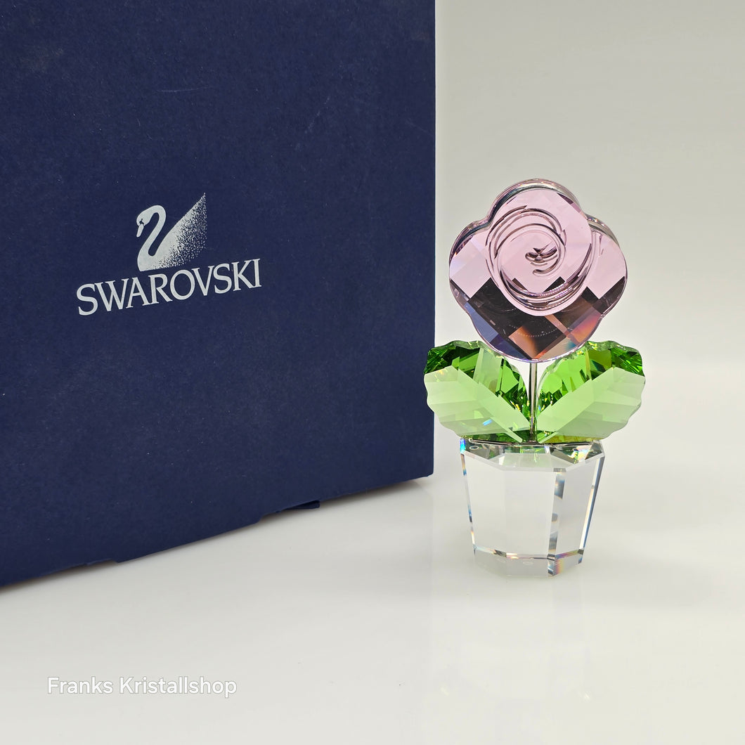 SWAROVSKI Blumenträume Rose Pink Medium 872197