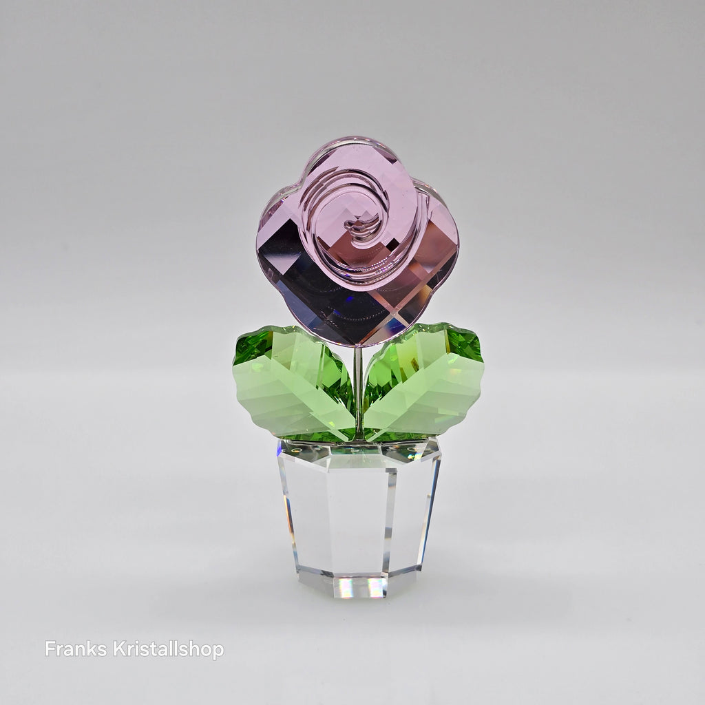 SWAROVSKI Blumenträume Rose Pink Medium 872197
