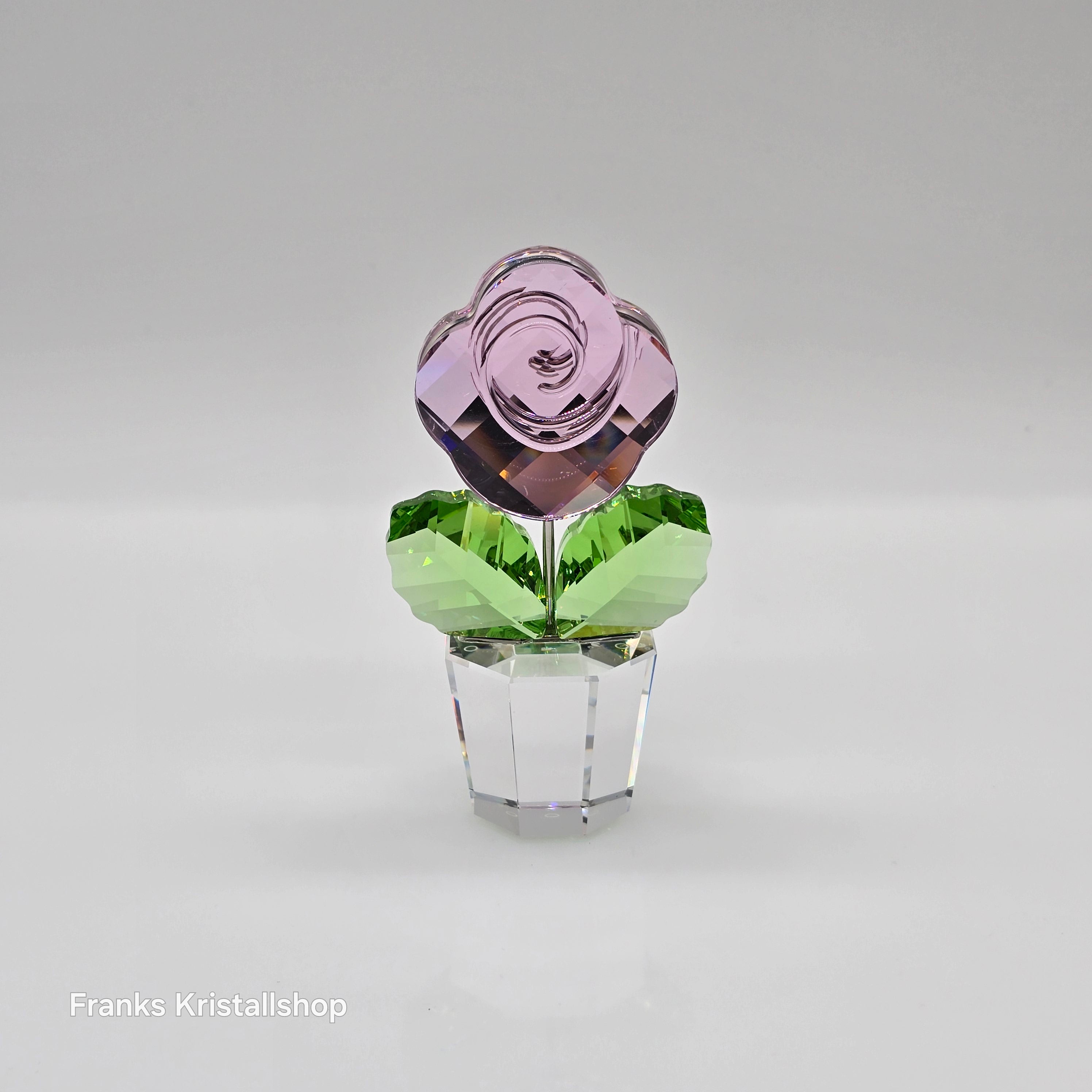SWAROVSKI Blumenträume Rose Pink Medium 872197