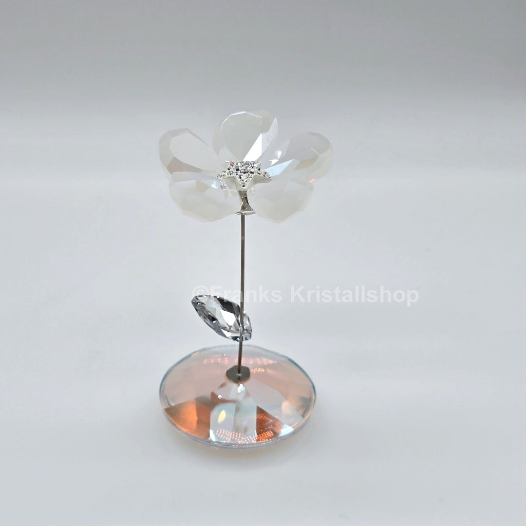 SWAROVSKI Blumenträume Tanzende Blume Jacky 1048714