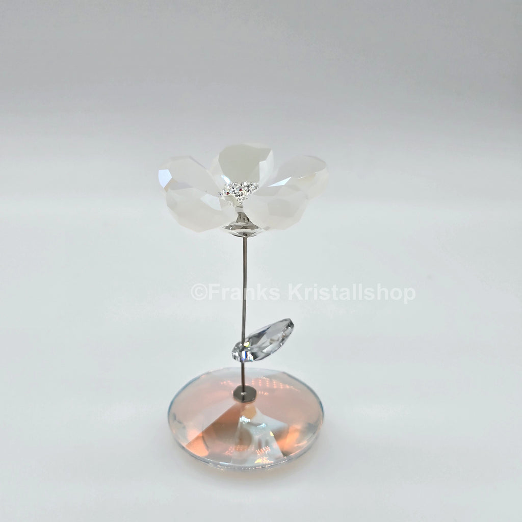 SWAROVSKI Blumenträume Tanzende Blume Jacky 1048714