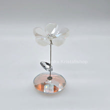 Lade das Bild in den Galerie-Viewer, SWAROVSKI Blumenträume Tanzende Blume Jacky 1048714
