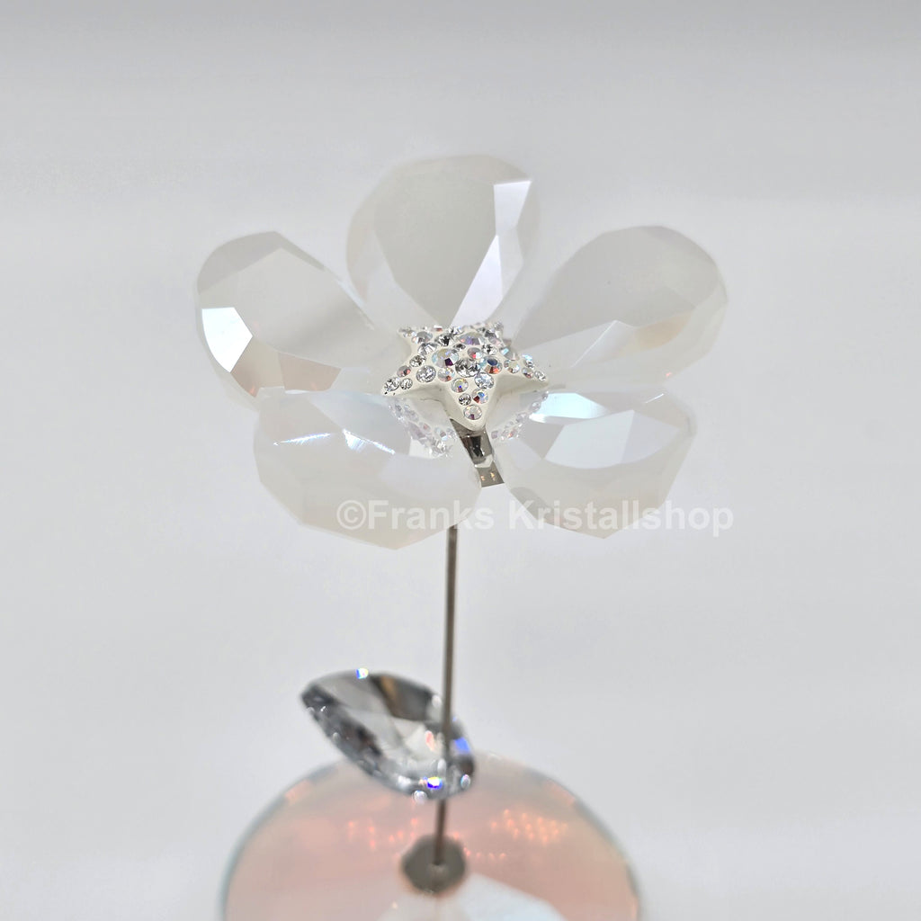 SWAROVSKI Blumenträume Tanzende Blume Jacky 1048714