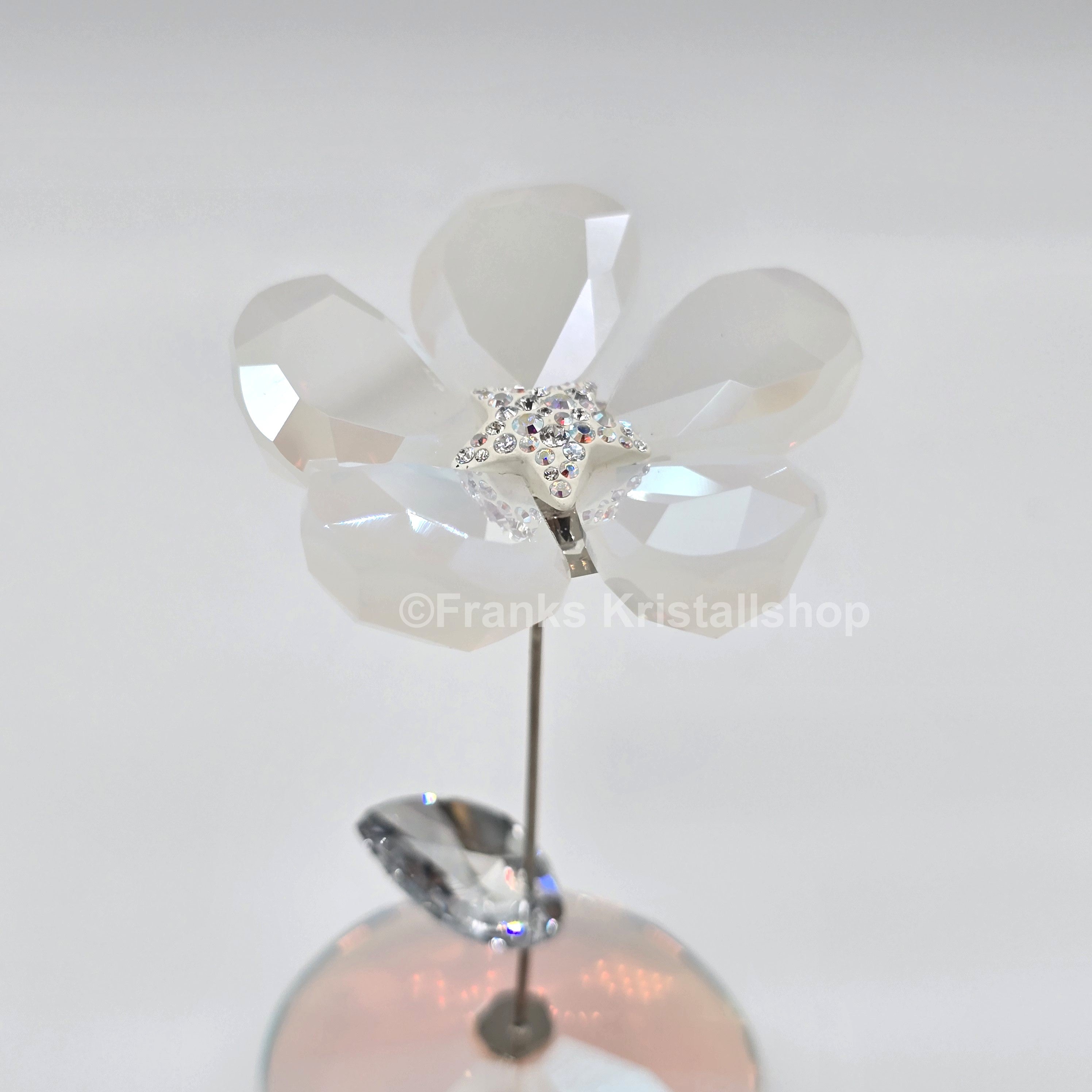 SWAROVSKI Blumenträume Tanzende Blume Jacky 1048714