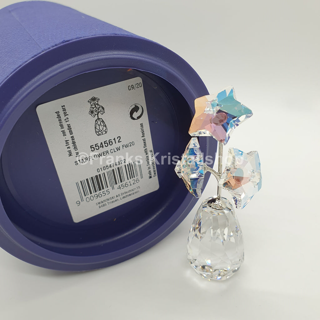 SWAROVSKI Blumenträume Sternblüte Sonderausgabe 5545612