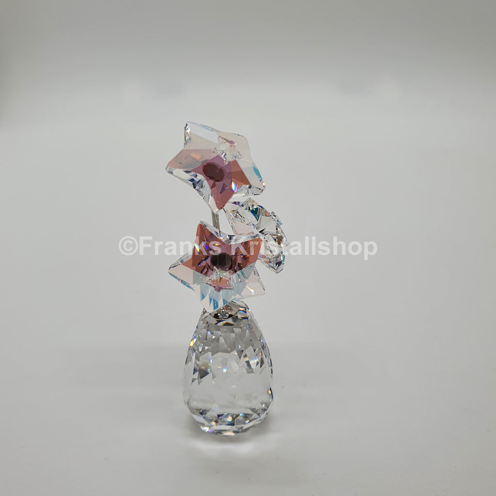 SWAROVSKI Blumenträume Sternblüte Sonderausgabe 5545612