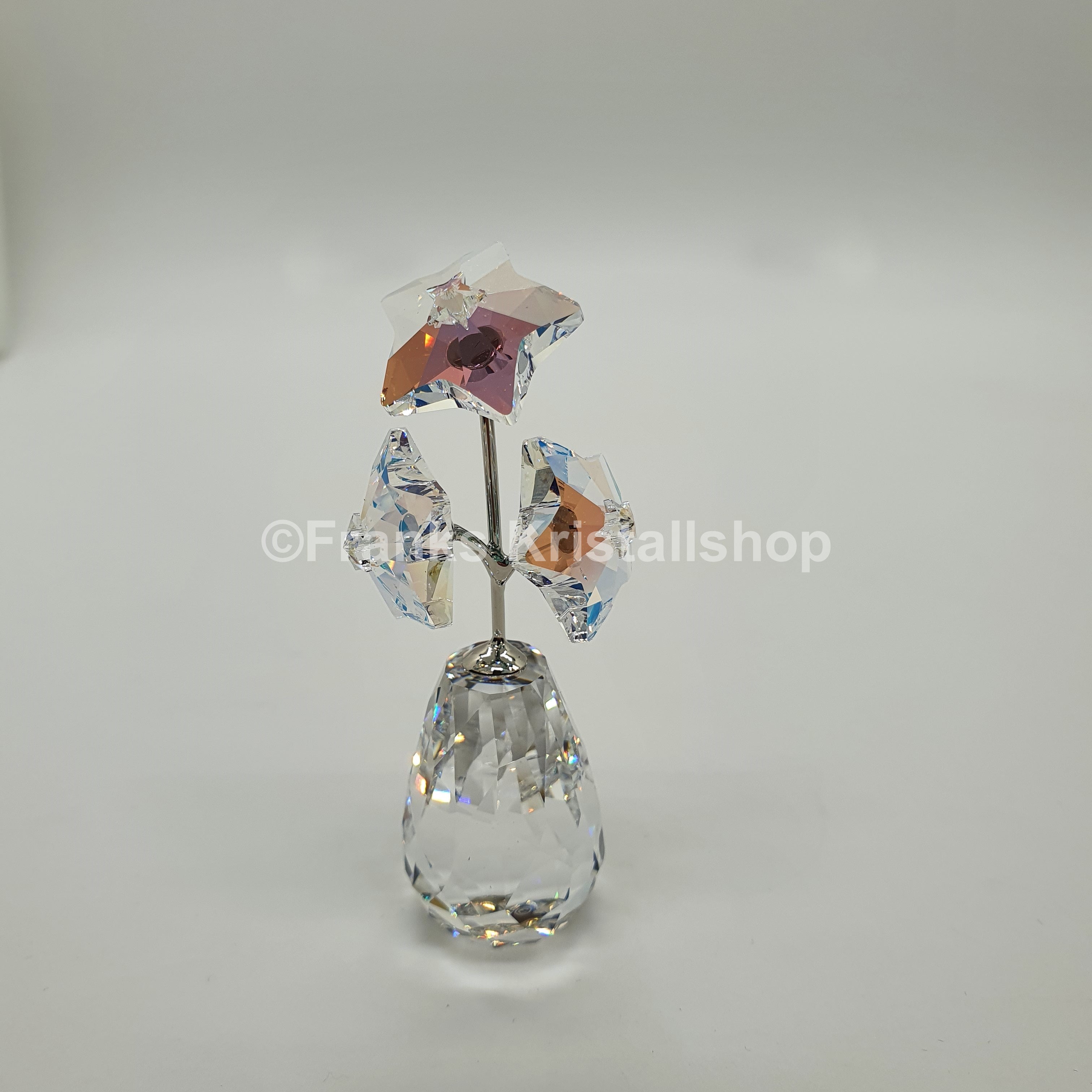 SWAROVSKI Blumenträume Sternblüte Sonderausgabe 5545612