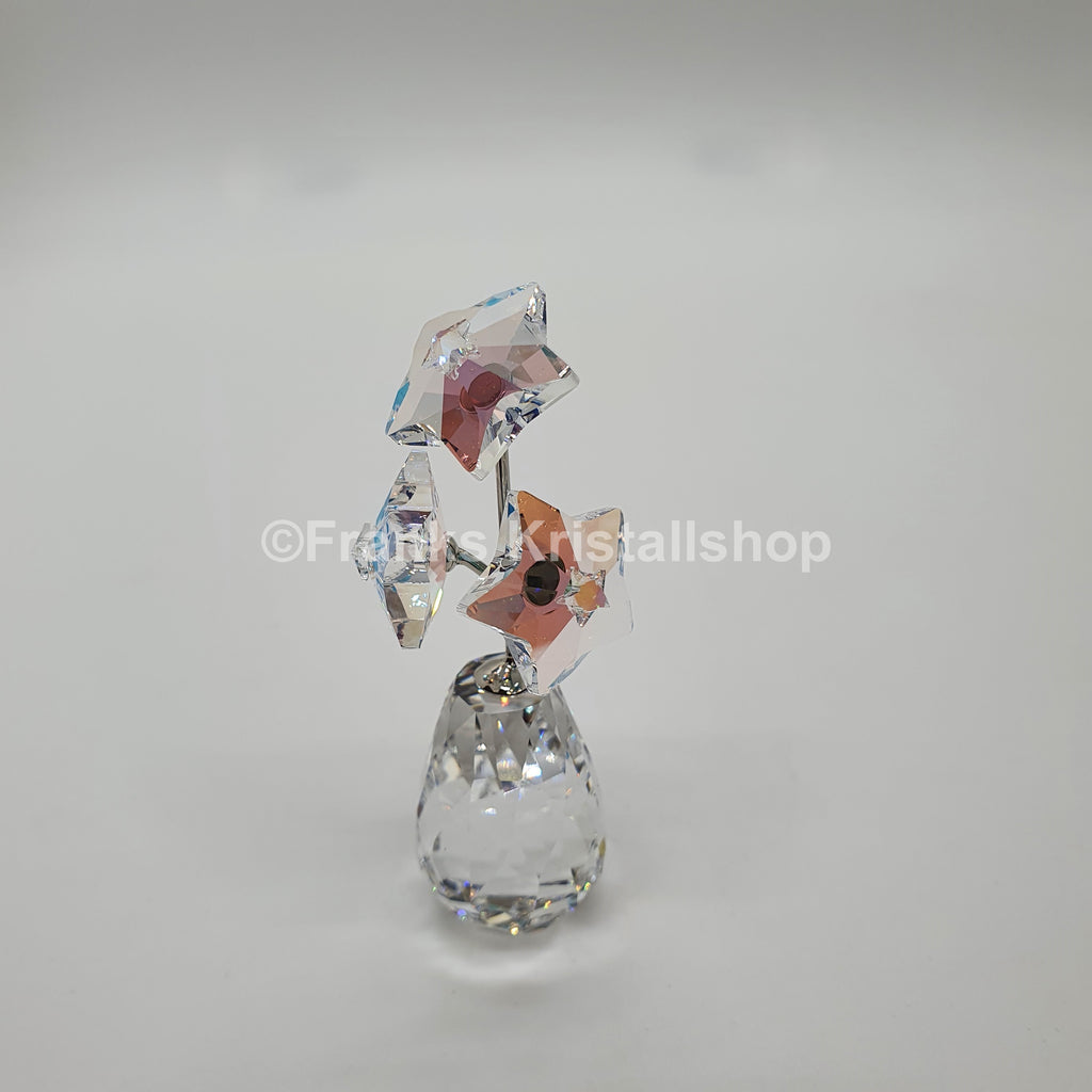 SWAROVSKI Blumenträume Sternblüte Sonderausgabe 5545612