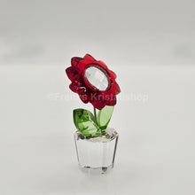 Lade das Bild in den Galerie-Viewer, SWAROVSKI Blumenträume Aster im Blumentopf 681737 oU
