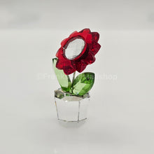 Lade das Bild in den Galerie-Viewer, SWAROVSKI Blumenträume Aster im Blumentopf 681737 oU
