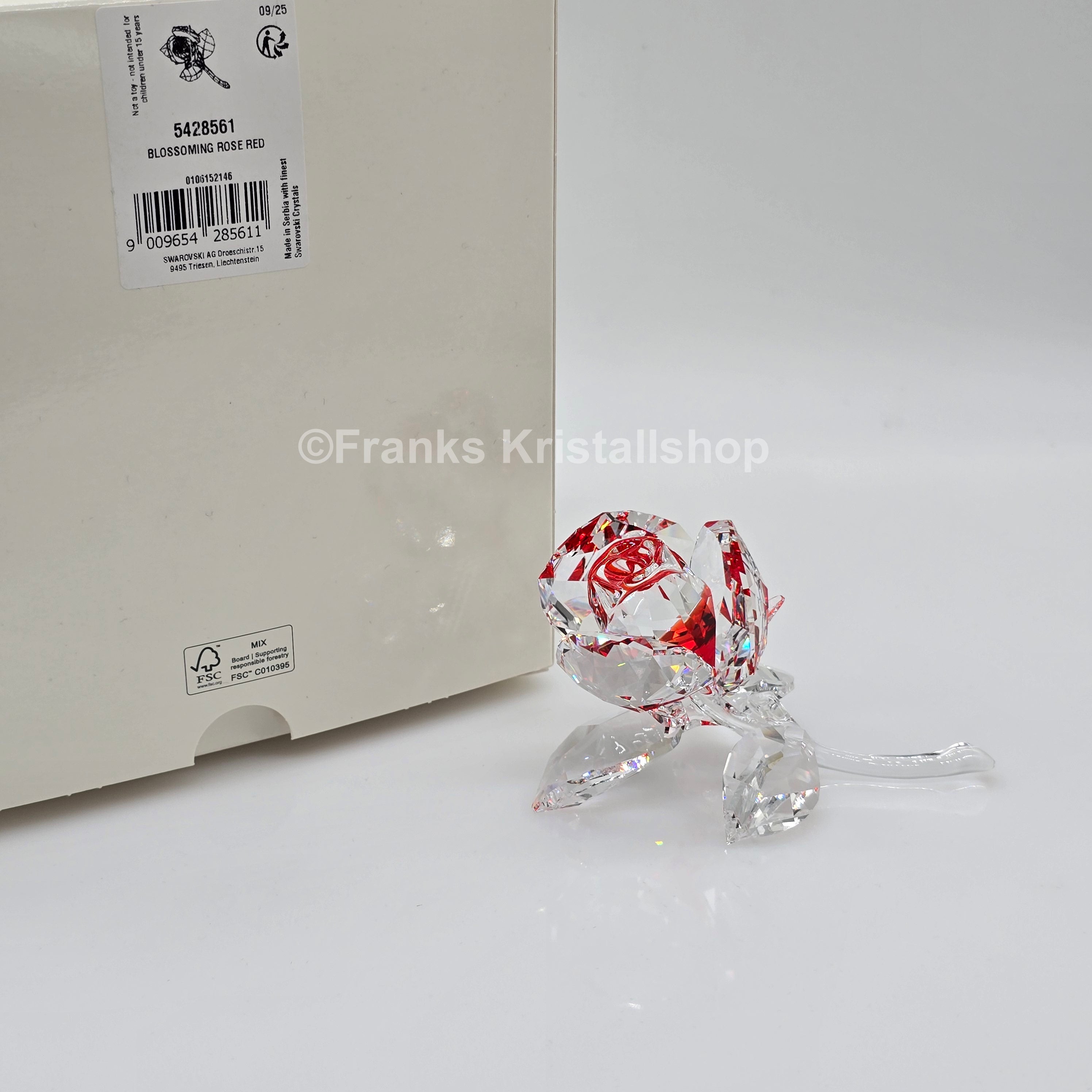 SWAROVSKI Blumenträume Blühende Rose Rot 5428561