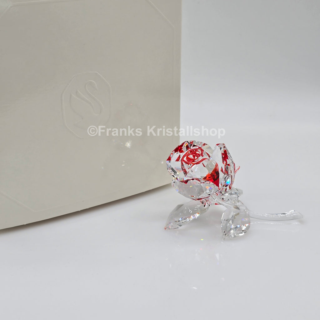 SWAROVSKI Blumenträume Blühende Rose Rot 5428561