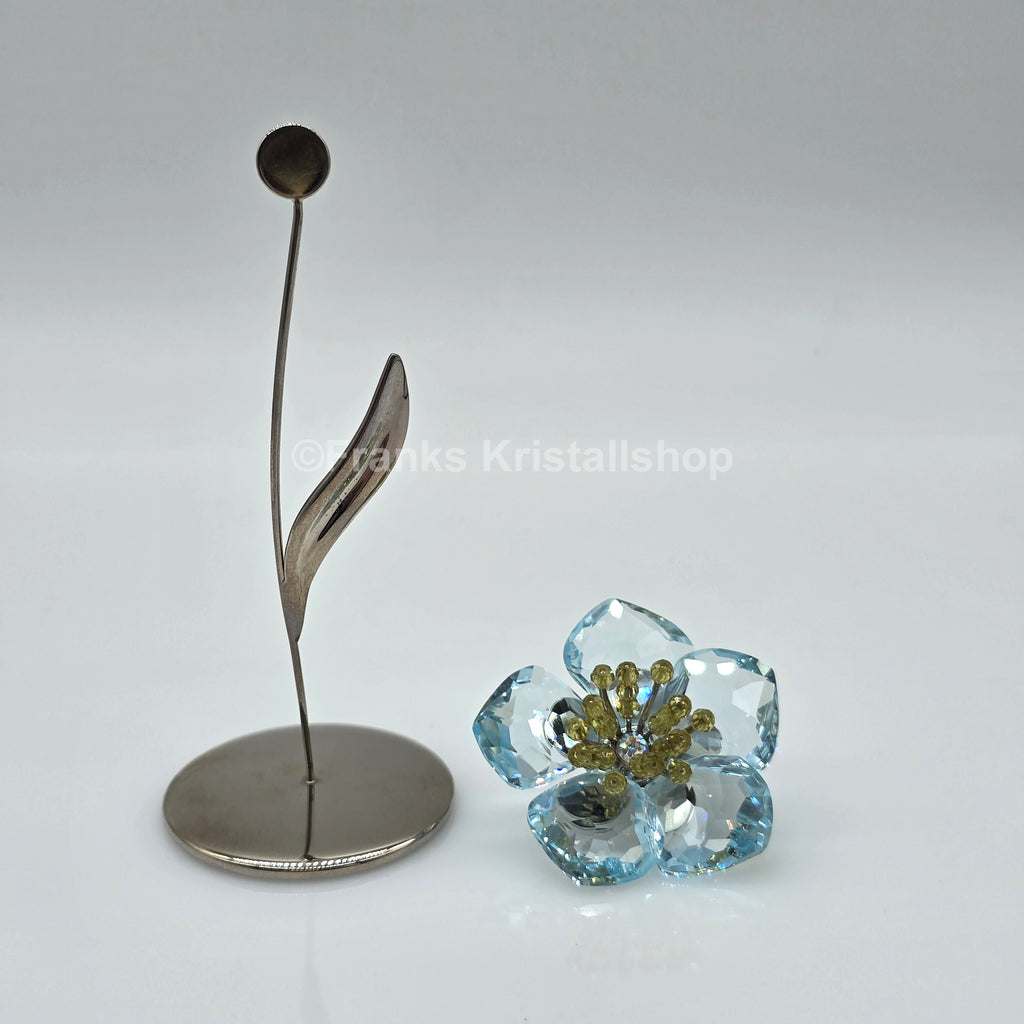SWAROVSKI Blumenträume Blume Daeni 848451