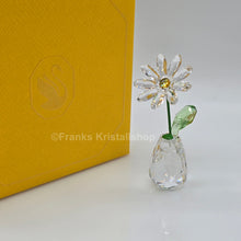 Lade das Bild in den Galerie-Viewer, SWAROVSKI Blumenträume Gänseblümchen Daisy 5723649
