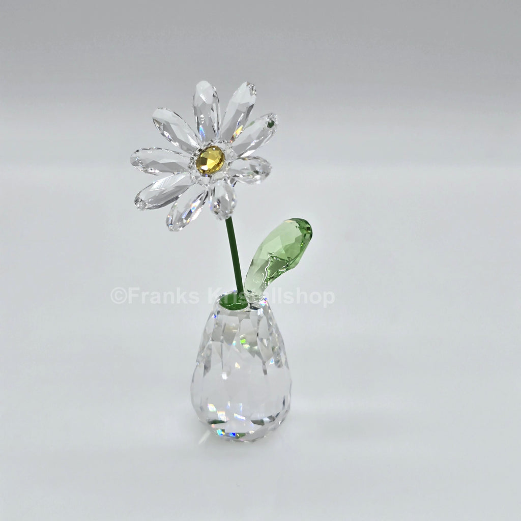 SWAROVSKI Blumenträume Gänseblümchen Daisy 5723649