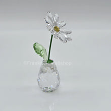 Lade das Bild in den Galerie-Viewer, SWAROVSKI Blumenträume Gänseblümchen Daisy 5723649
