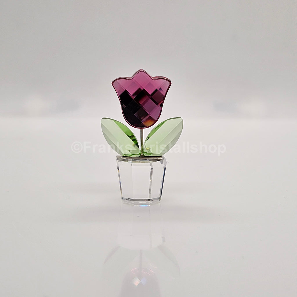 SWAROVSKI Blumenträume Tulpe Rosa Pink im Blumentopf 657111 AV