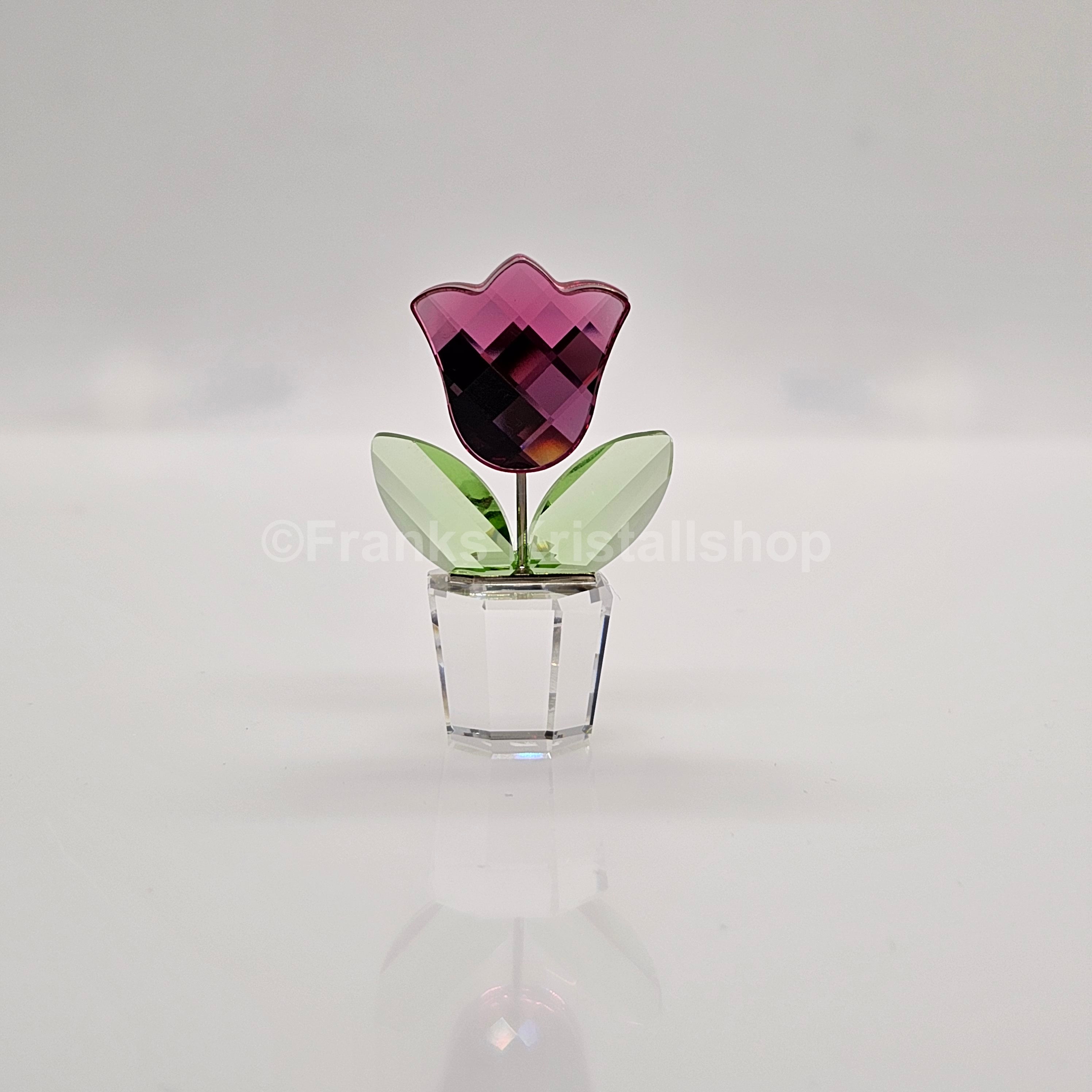 SWAROVSKI Blumenträume Tulpe Rosa Pink im Blumentopf 657111 AV
