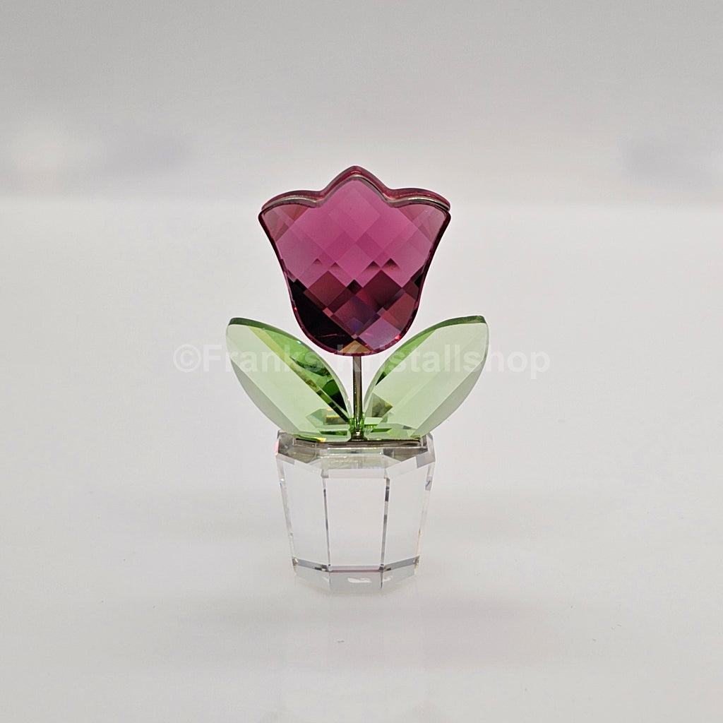 SWAROVSKI Blumenträume Tulpe Rosa Pink im Blumentopf 657111 AV