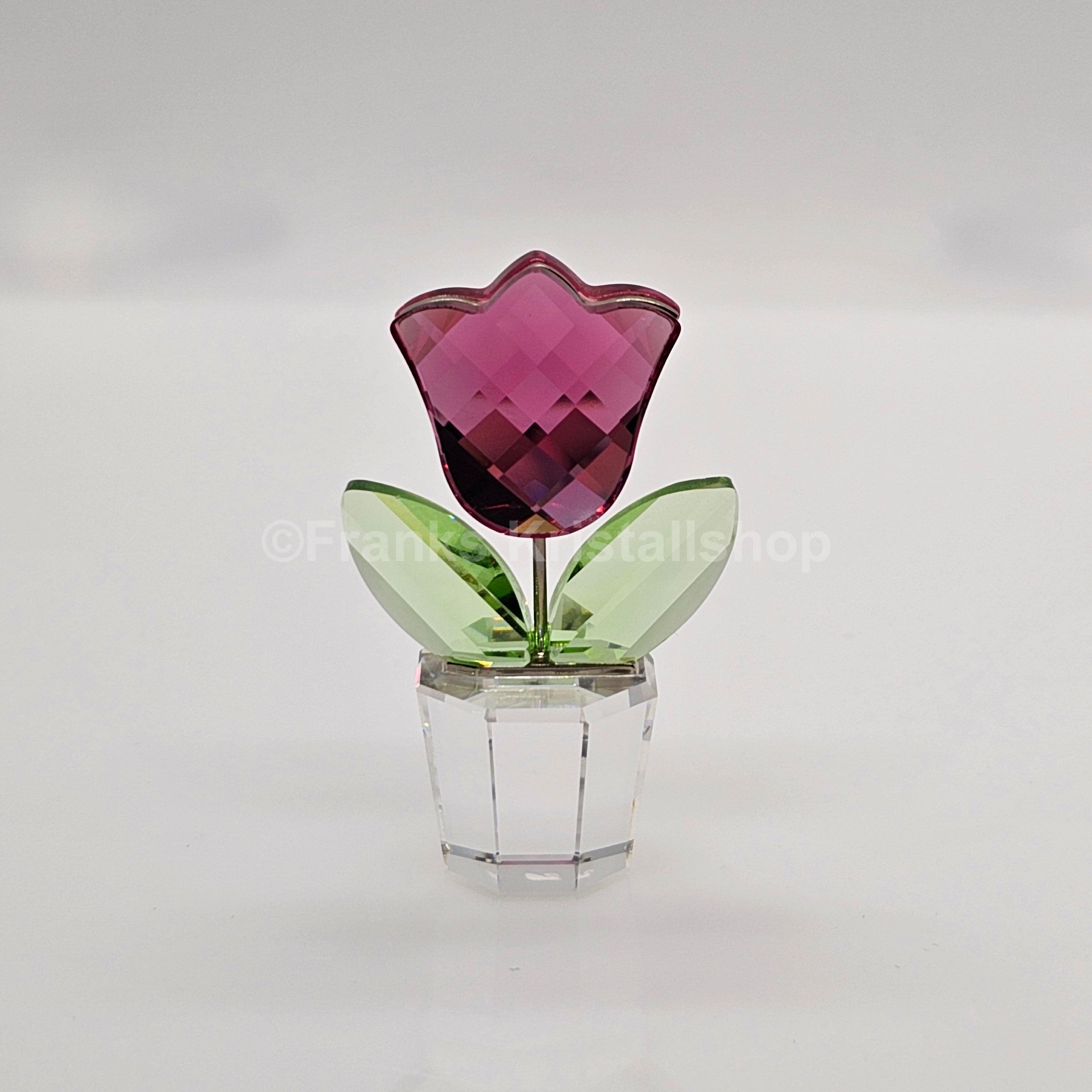 SWAROVSKI Blumenträume Tulpe Rosa Pink im Blumentopf 657111 AV
