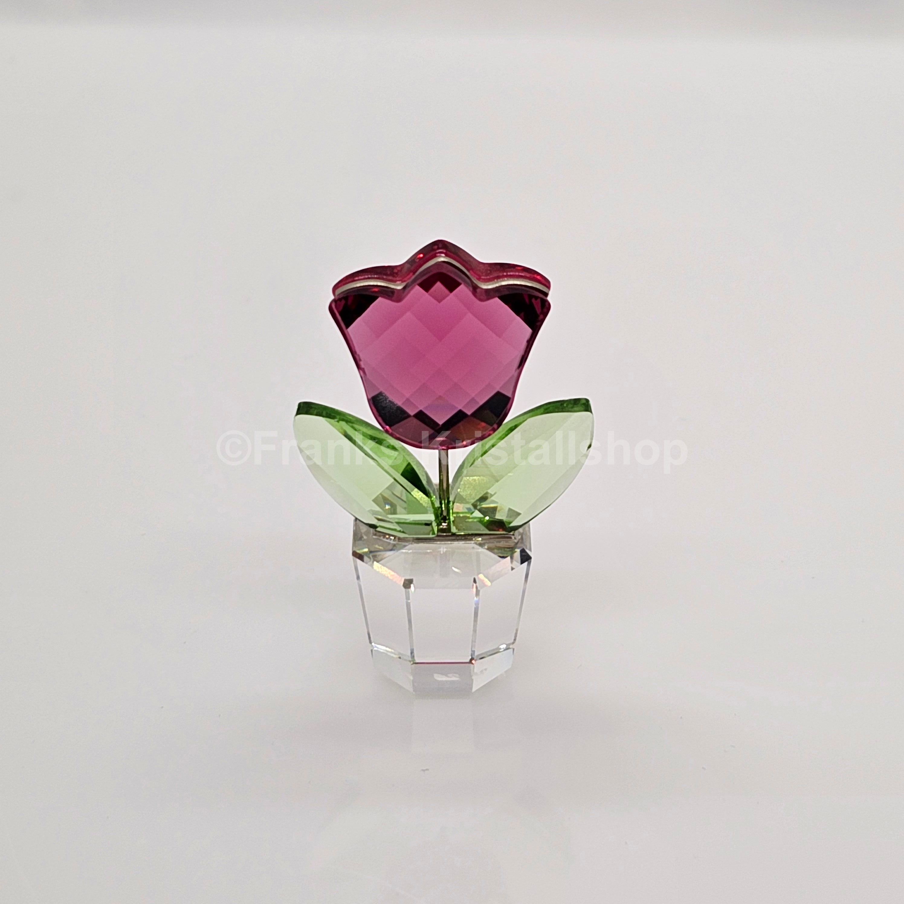 SWAROVSKI Blumenträume Tulpe Rosa Pink im Blumentopf 657111 AV