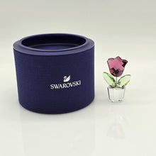 Lade das Bild in den Galerie-Viewer, SWAROVSKI Blumenträume Tulpe Rosa Pink im Blumentopf 657111 AV
