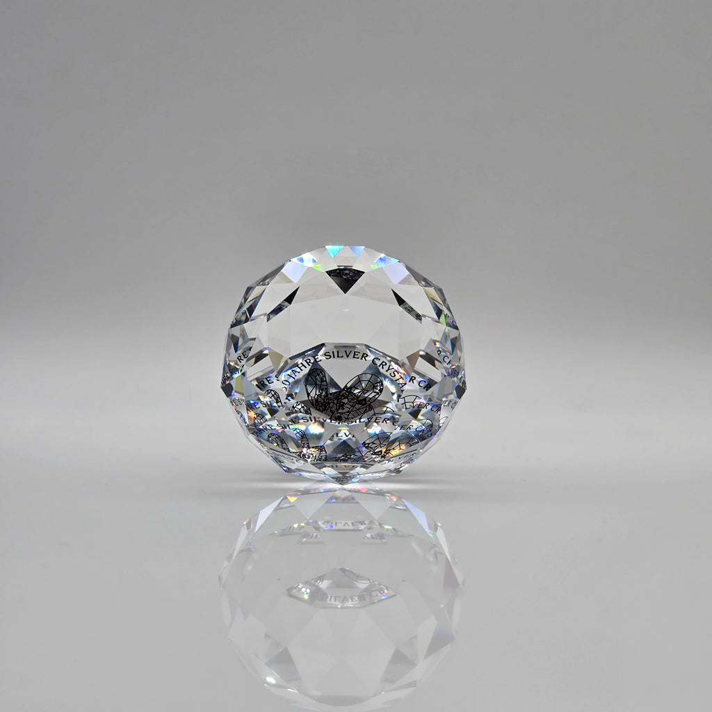 SWAROVSKI Briefbeschwerer limitierte Jubiläumsausgabe 30 Jahre Silver Crystal