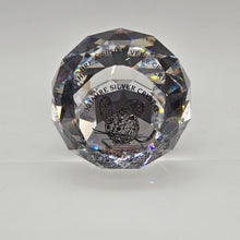 Lade das Bild in den Galerie-Viewer, SWAROVSKI Briefbeschwerer limitierte Jubiläumsausgabe 30 Jahre Silver Crystal
