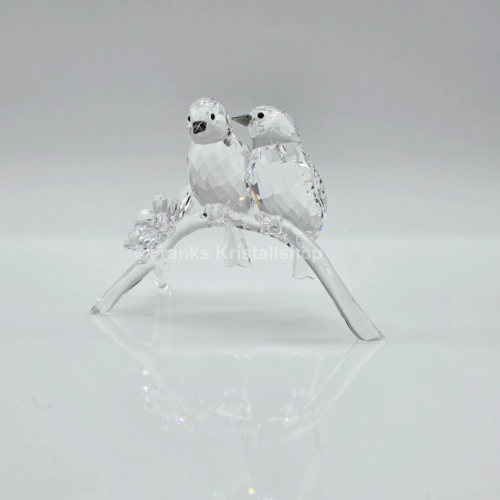 SWAROVSKI Brillenvögel 5249843 oU