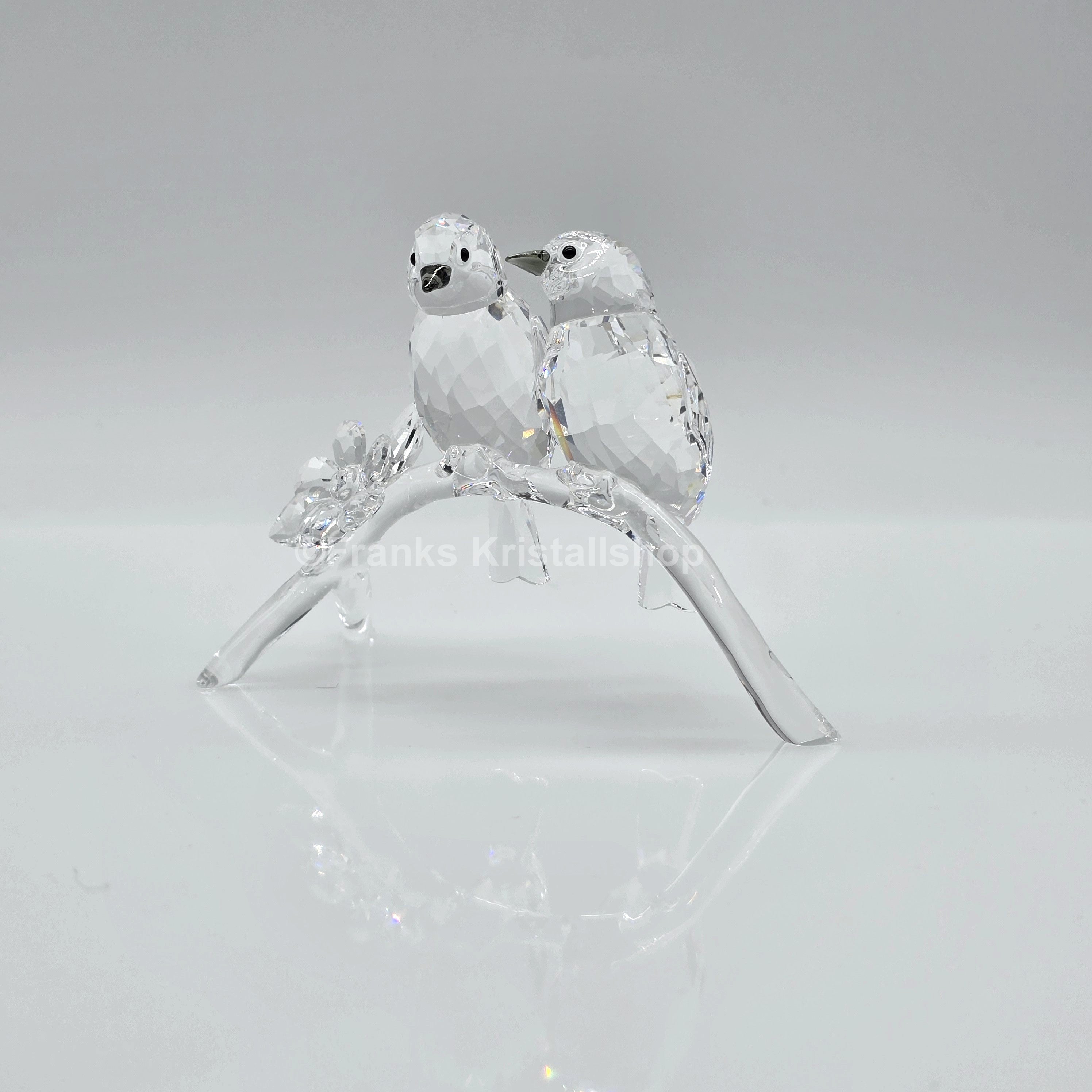 SWAROVSKI Brillenvögel 5249843 oU
